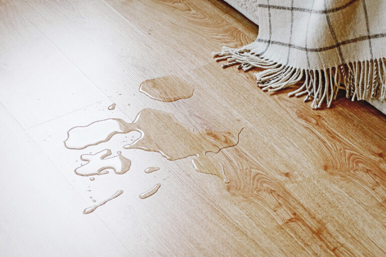 7 Silent Signs You Have a Hidden Water Leak in Your Home